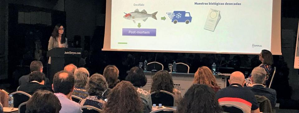 hipra-AVEDILA-Symposium