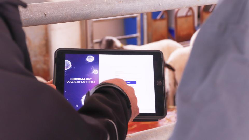 HIPRAlink vaccination
