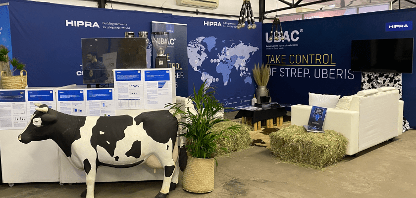 ubac vaccine against strep uberis