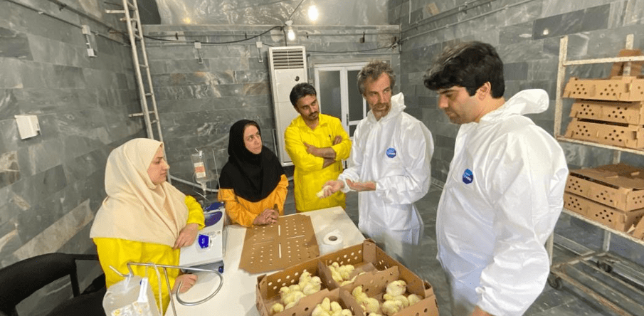 Global Hatchery Health Programme: India and Iran with pioneering events