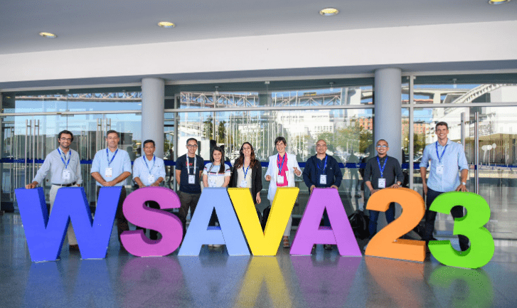 wsava 2023 rabbits hipra