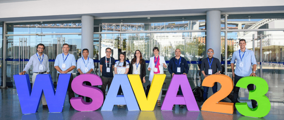 animal companion rabbits health