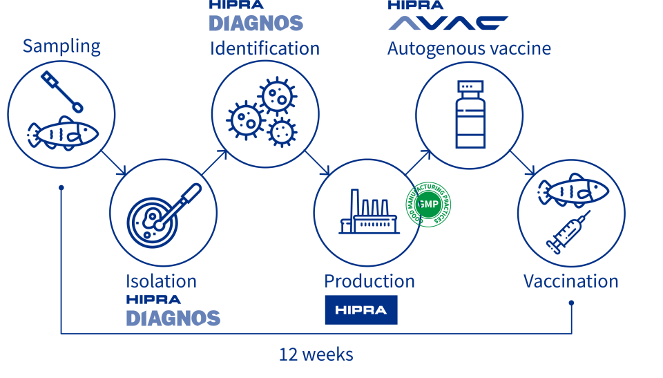 Autogenous vaccines services