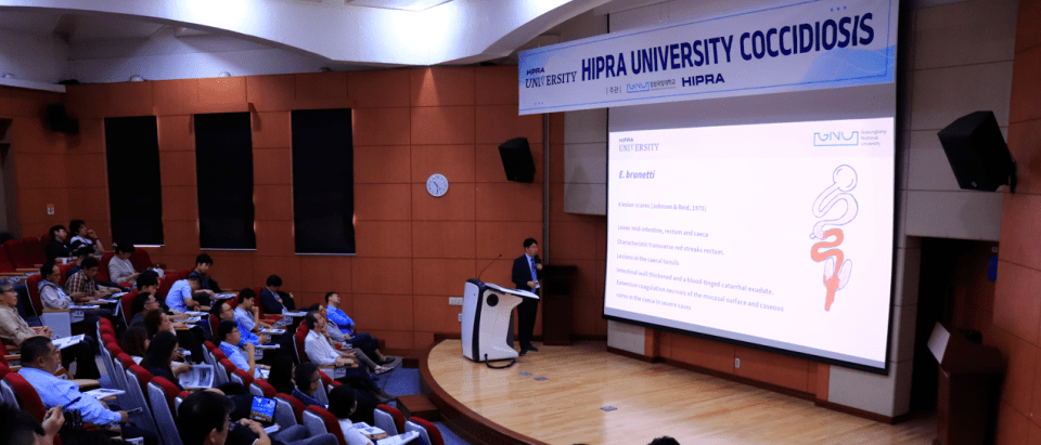 hu avian coccidiosis