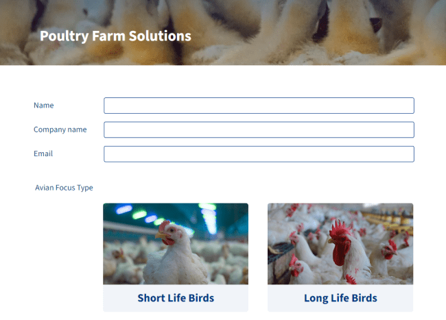 poultry farm solutions