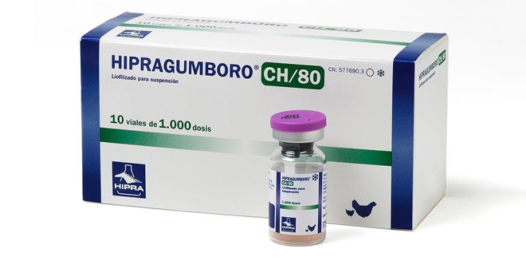 HIPRAGUMBORO CH80