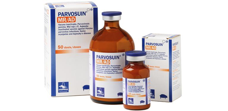 PARVOSUIN-MR-AD