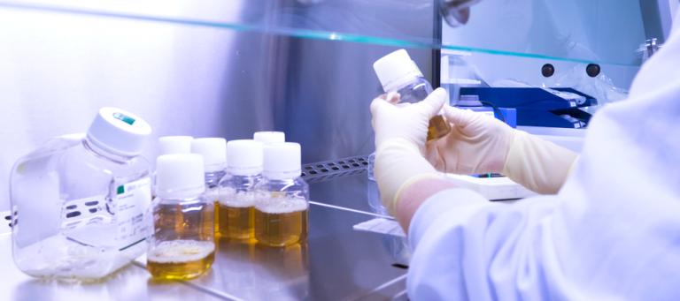 Rabbit Haemorrhagic Disease (RHD) prevention program based on the use of a European RHDV-2 vaccine