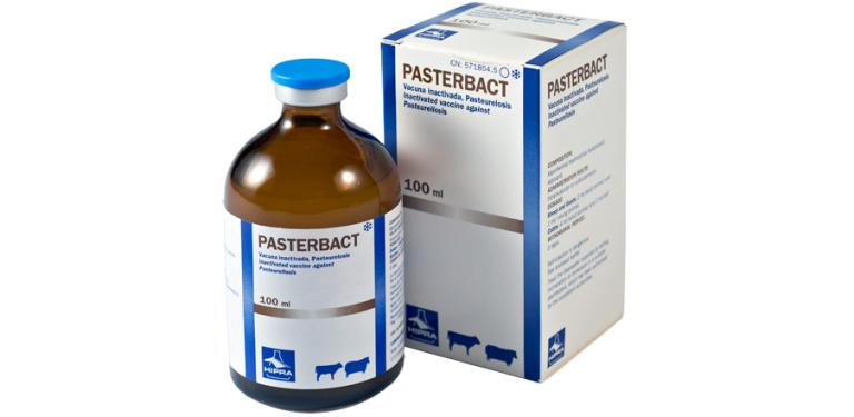PASTERBACT