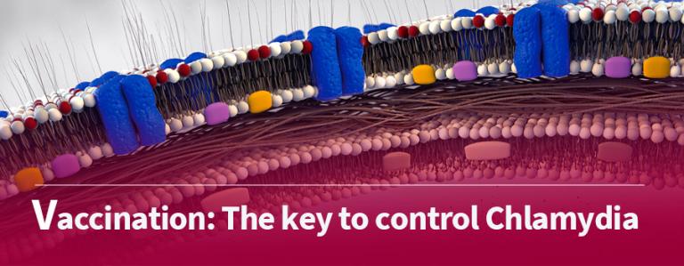 Banners-1stPage-INMEVA-4