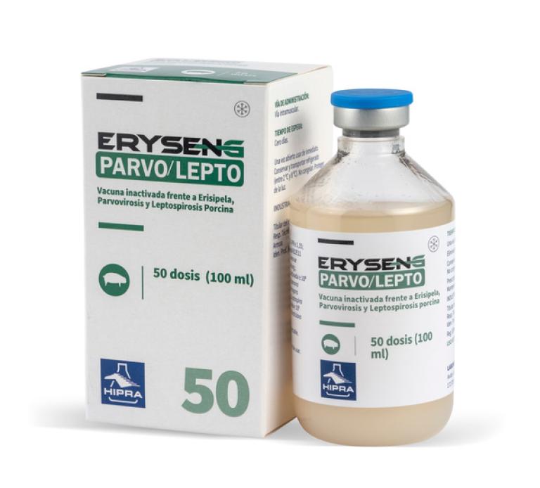 ERYSENG PARVO LEPTO