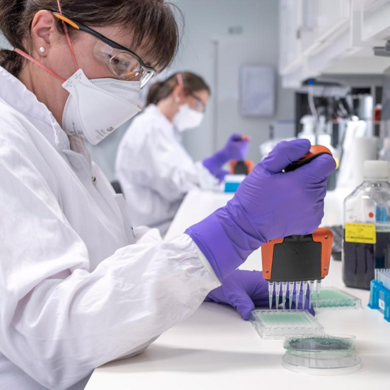 Preclinical evaluation of a COVID19 vaccine