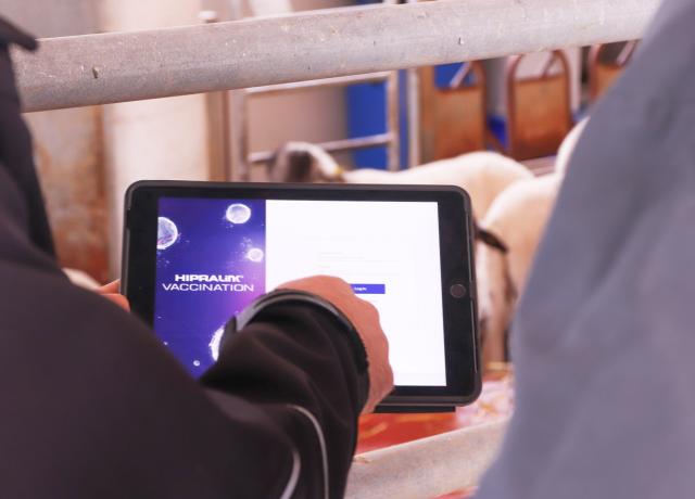 HIPRAlink vaccination